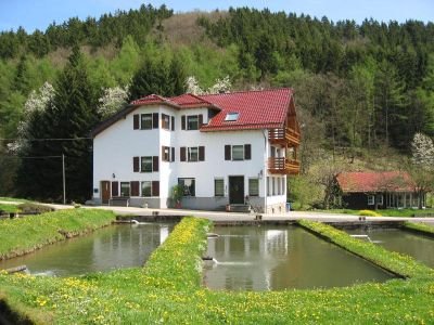 Ferienwohnung Blankenheim Forellenhof Haus 01