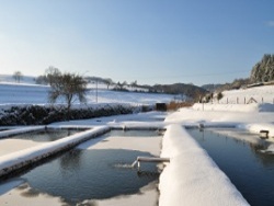 files/Bilder/Rechte Bilder Home/Forellenhof Blankenheim Weier im Winter.jpg