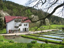 files/Bilder/Rechte Bilder Home/Forellenhof Blankenheim Weier und Appartements.jpg