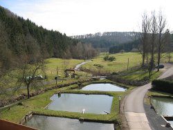files/Bilder/Rechte Bilder Home/Forellenhof Blankenheim Weier und Land.jpg